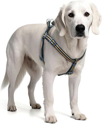 Stripe Step in Dog Harness for Small Dogs, Freedom Nylon Dog Halter Vests, Lightweight and Escape Proof Puppy Harness, Quick Fits for Small Medium and Large Dogs, Blue L