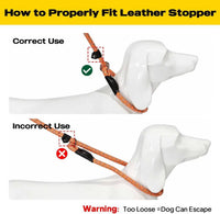 Fida Durable Slip Lead Dog Leash - Large (1/2" x 6 ft) (Pack of 5) / Orange - image 4