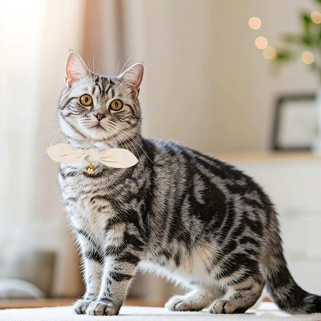 Breakaway Cat Collar with Bow Tie and Bell Adjustable Soft Corduroy - Small: Neck 7.5" - 11.0" / Bunny Ear - Cream - image 4