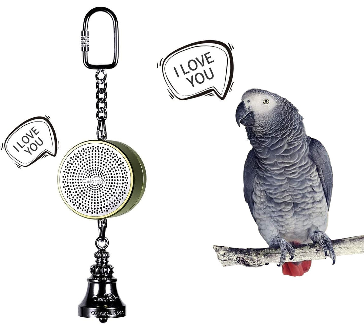 Colorday Bird Toys Parrot Talking Coach & Interactive Voice Bell - Green