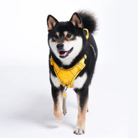 Pawaii No Pull Dog Harness with Pet ID Tag, Reflective Vest – Essentials for Dogs - XL (Chest: 32"-38" ) / Pineapple Yellow - image 4
