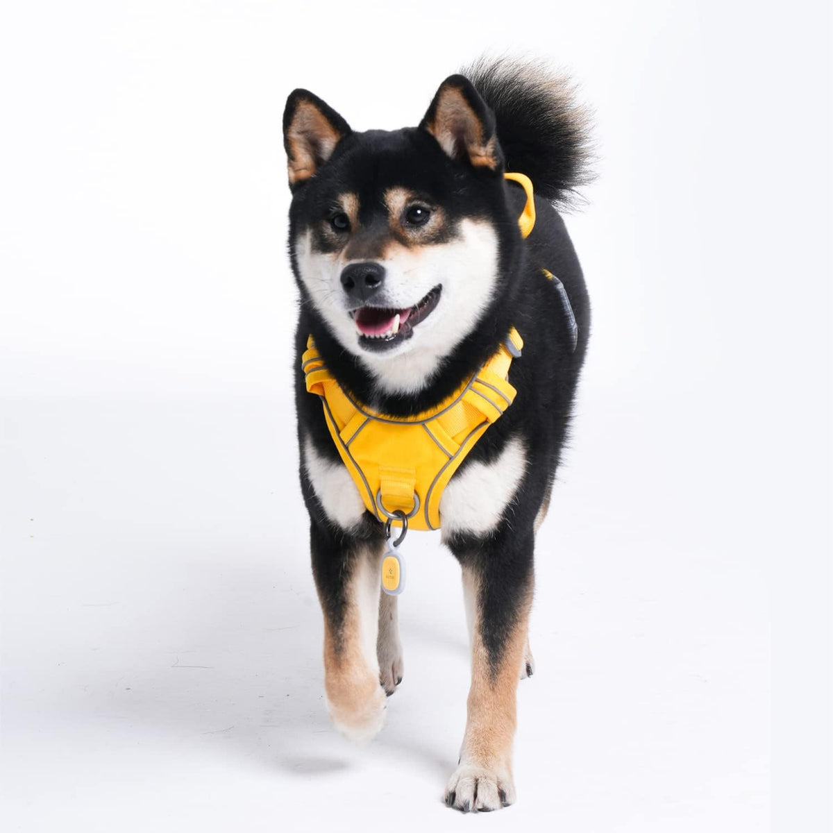 Pawaii No Pull Dog Harness with Pet ID Tag, Reflective Vest – Essentials for Dogs - XL (Chest: 32"-38" ) / Pineapple Yellow - image 4