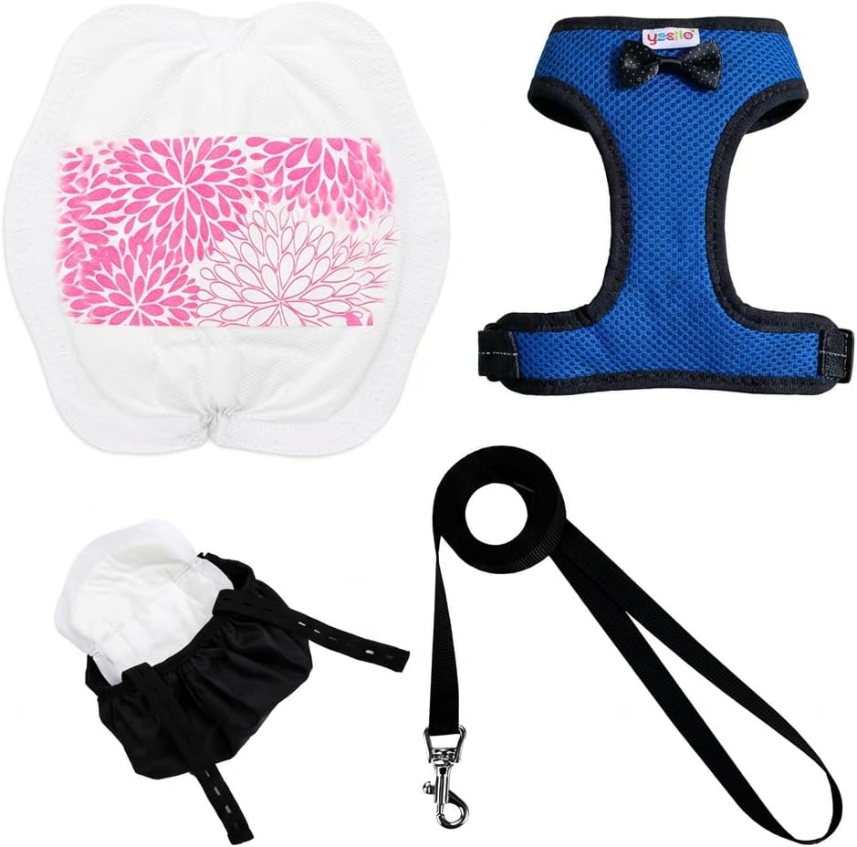 Adjustable Chicken Harness Diaper - Large / Blue