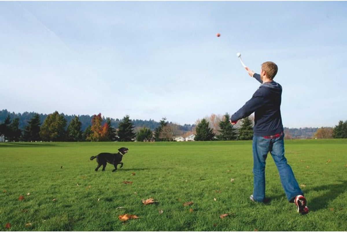 Chuckit! Classic 26M Dog Ball Launcher - Pro / 18in - image 2