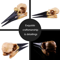 Fish Cave Hideout Ornament Décor for Terrarium Dinosaur Animal Skull Aquarium Large Decorations Betta Tarantula Reptile Snake Decor Bones Halloween