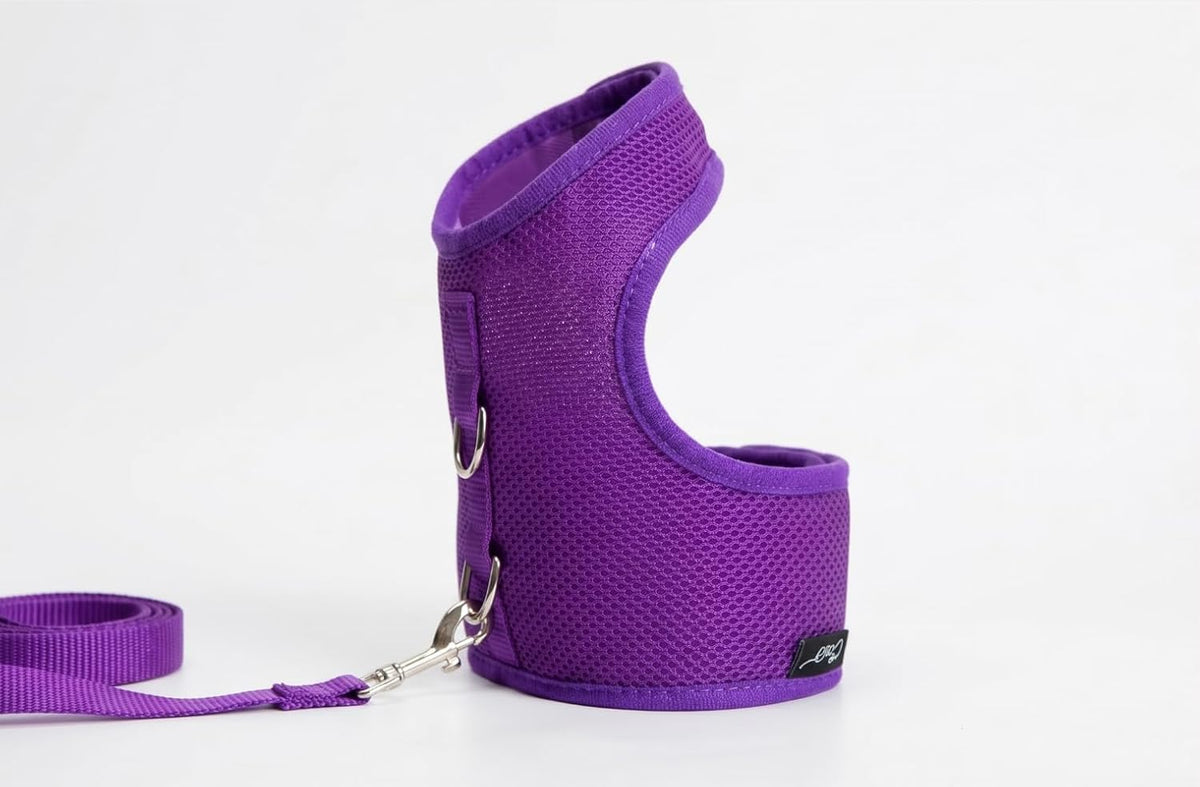 Cat Harness and Leash Set for Walking Escape Proof - Purple / M 5.5-9 lbs - image 3