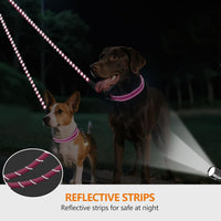 Taglory Double Dog Leash Coupler for Two Dogs - 30 Inch (Pack of 1) / Pink - image 4
