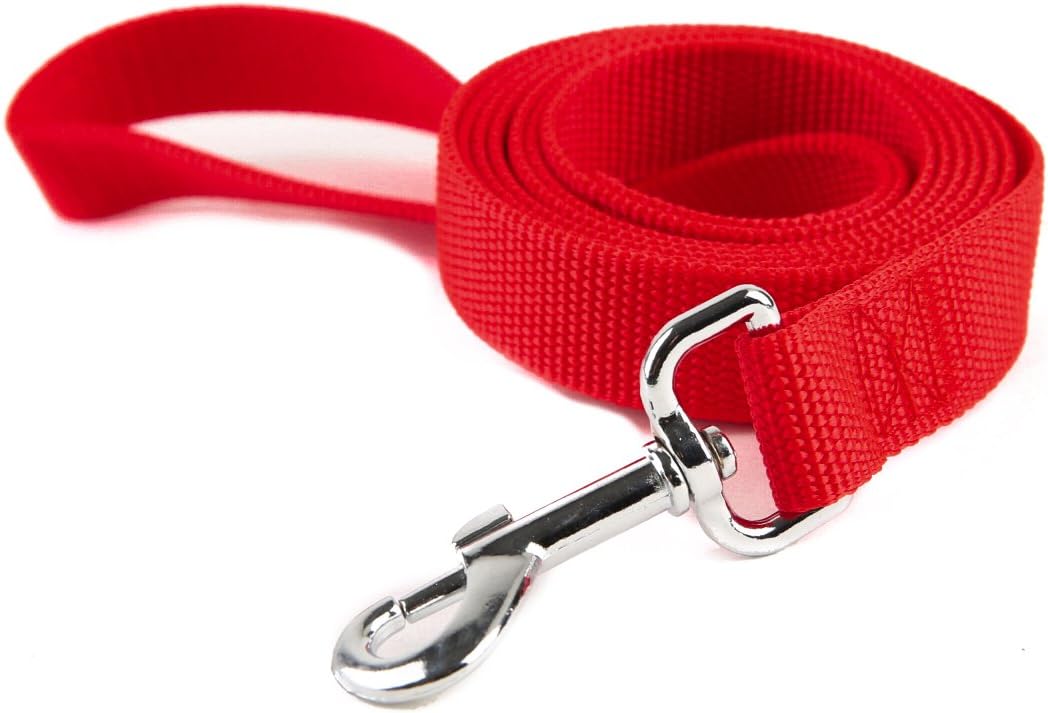 Nylon Dog Training Leash, Traction Rope - 3/4'' x 6 FT / Red