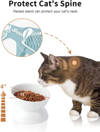 Cat Water Bowl, 15° Tilted and Raised Pet Food Dish - 2 Pack / White - image 4