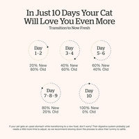 Now Fresh Grain-Free Senior Dry Cat Food with Turkey, Salmon & Duck, Premium Kibble Made with Real Meat & Fish, Chicken-Free Recipe, Supports Healthy Weight Management, 16 lb Bag