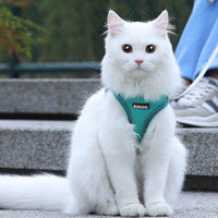 AIITLE Small Dog Harness and Leash Set, Step-in Puppy Pet Vest - XL(Chest: 19.5 - 23.5") / Pure Turquoise - image 4