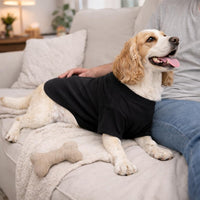 Lovelonglong Pet Clothing Dog Costumes Basic Blank T-Shirt Tee Shirts - B-M (for Bulldog -25lbs) / Yellow - image 3