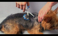 Silent pet grooming kit with scissors, seven clipper combs, finger inserts and storage bag - view 4