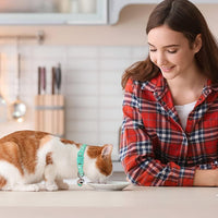 Baeuppit 2PCS Breakaway Cat Collars with Bell Moons Stars Cute Kitty - Neck 6.9-10.7 in / Pink&Teal - image 2