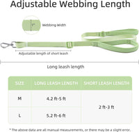 Wisedog Two Handles Dog Leash, Lilac - Sage Green / M - image 2