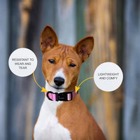 HILLBERRY Dog Collar and Leash Set Adjustable Rainbow Pink Purple Blue Puppy Pet Essentials and Supplies - Size XS