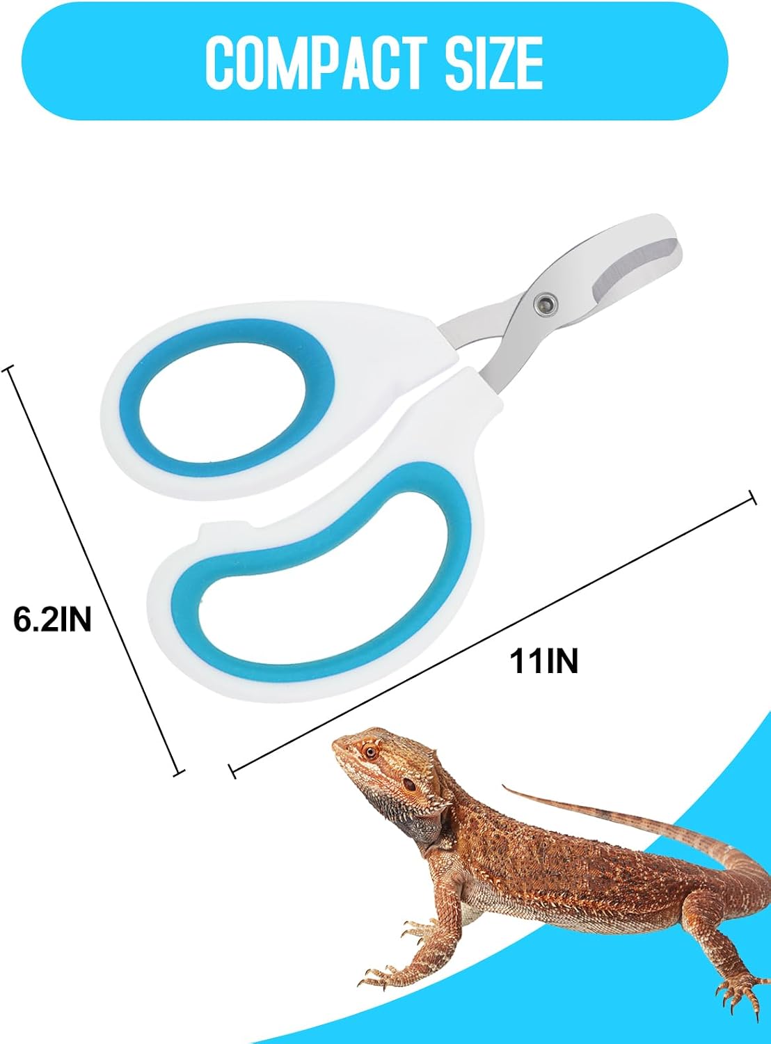 Stainless Steel Bearded Dragon Nail Clippers - Blue - image 4