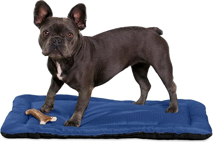 K9 Ballistics Tough Ripstop Dog Crate Pad - Durable & Machine Washable with Non-Skid Bottom and 120-Day Warranty, Fits 24" Wire Crates - X-Small, Blue Quartz