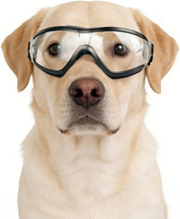 Medium Clear Dog Goggles Eye Protection - Style Clear / Large