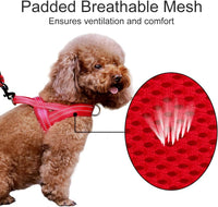 Plutus Pet No Pull Dog Harness with Front Clip - L: chest 25.2"-32.3" / Red - image 3