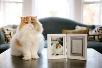 Pearhead Pet Paw Print Frame with Clay Impression Kit - White Pawprint Desk Frame - image 2
