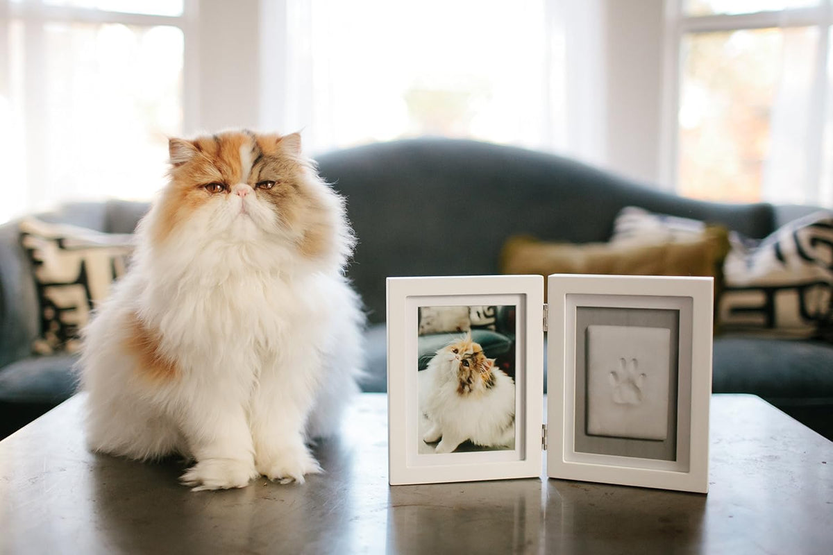 Pearhead Pet Paw Print Frame with Clay Impression Kit - White Pawprint Desk Frame - image 2