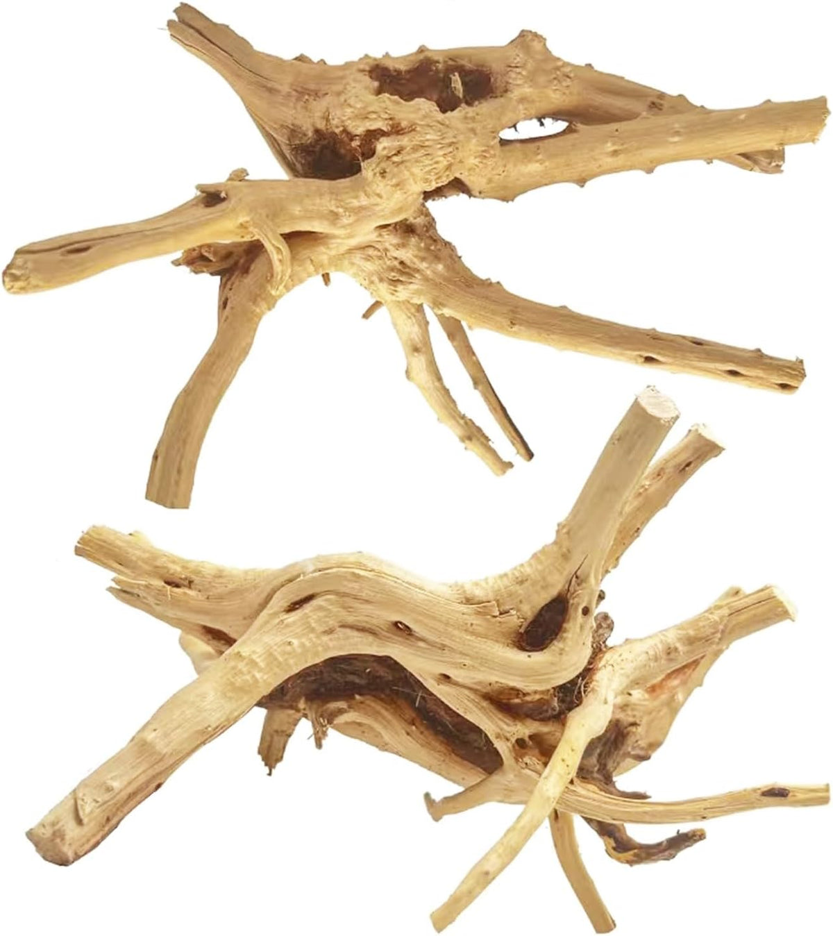 Natural Aquarium Driftwood for Fish Tank Reptile Terrariums Decor – Essentials for Fish - Spiderwood 11 to 14 Inch (Pack of 2)