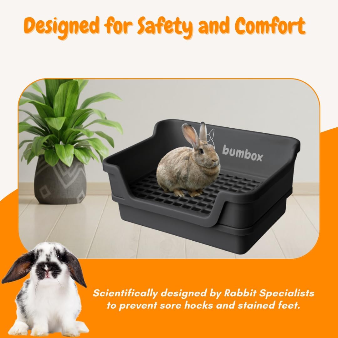 HoppScotch.bun Bumbox Large Rabbit Litter Box - Black / Large - image 4