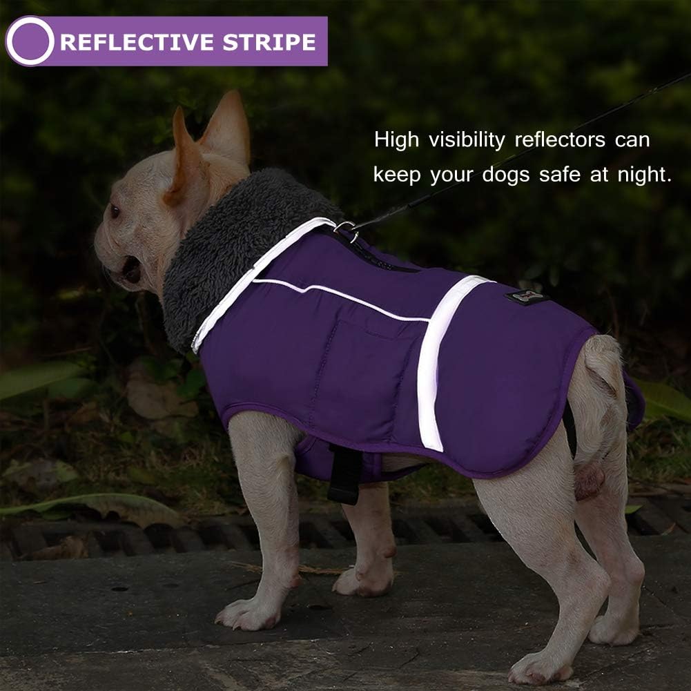 QBLEEV Warm Dog Coat, Reflective Dog Jacket - Purple / Large - image 2
