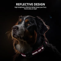 Reflective Air Tag Dog Collar - 100% Waterproof Dog Collar AirTag Holder | Extra-Durable, Soft Padded AirTag Dog Collars for Small Medium Large Dogs