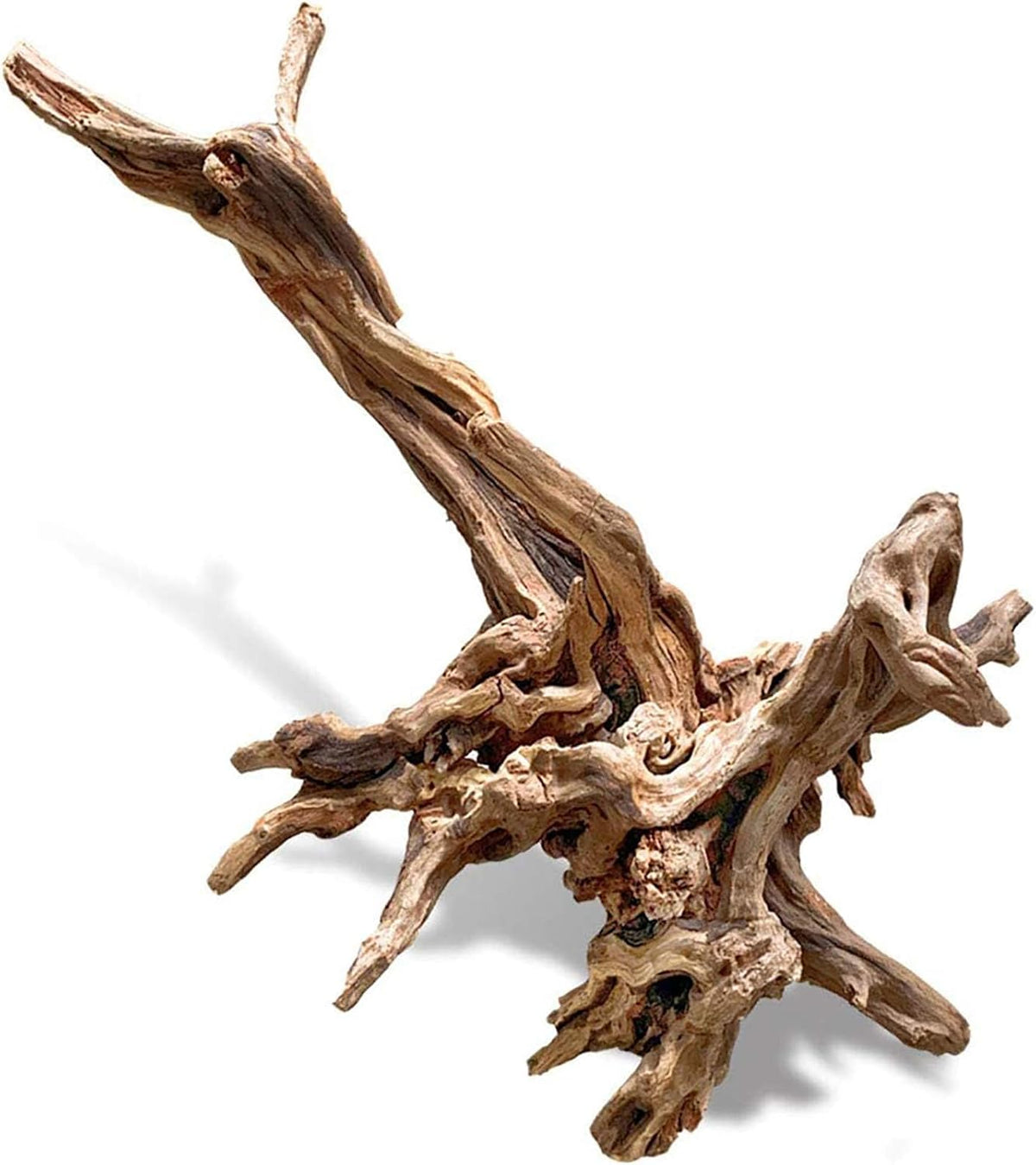 PINVNBY Natural Driftwood for Aquarium Decor Fish Tank Decorations - XL:Mopani Driftwood (11 - 18 inches/1 Pack)