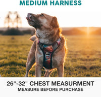 Embark No Pull Dog Harness, Reflective Adjustable Training Vest - M / Aurora - image 3