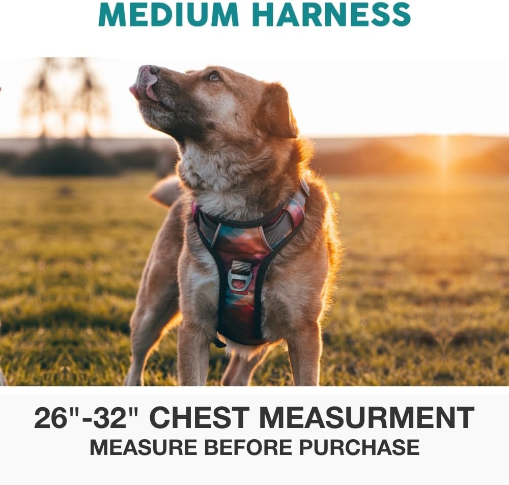 Embark No Pull Dog Harness, Reflective Adjustable Training Vest - M / Aurora - image 3