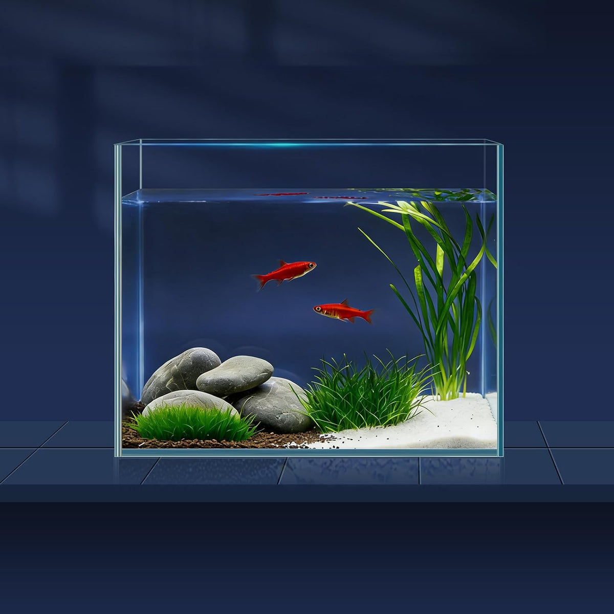 2 Gallon Glass Fish Bowl with Decor - 1 gal square