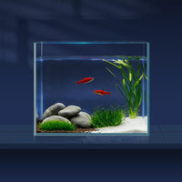 2 Gallon Glass Fish Bowl with Decor - 1 gal square