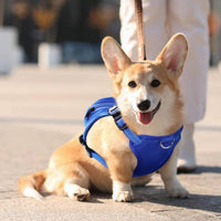 Dog Backpack Harness, No-Pull Dog Backpack with D-Ring, Frog, M - Blue Shark / 6.4"L x 5.1"W x 2.2"H - image 2