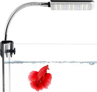 SunGrow 4.8W Aquarium Light for Fish Tank, 24 LEDs, White & Blue – Essentials for Fish