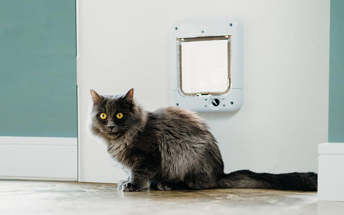 360 Microchip with Decals – Essentials for Cats - image 2