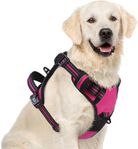 PUPTECK No Pull Halloween Dog Harness for Large - Fuschia / X-Large / Harness Only