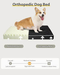 Orthopedic XL Dog Beds Large Sized with Washable Cover, 41x27 - 35.0"L x 22.0"W x 3.0"Th / Black - image 3