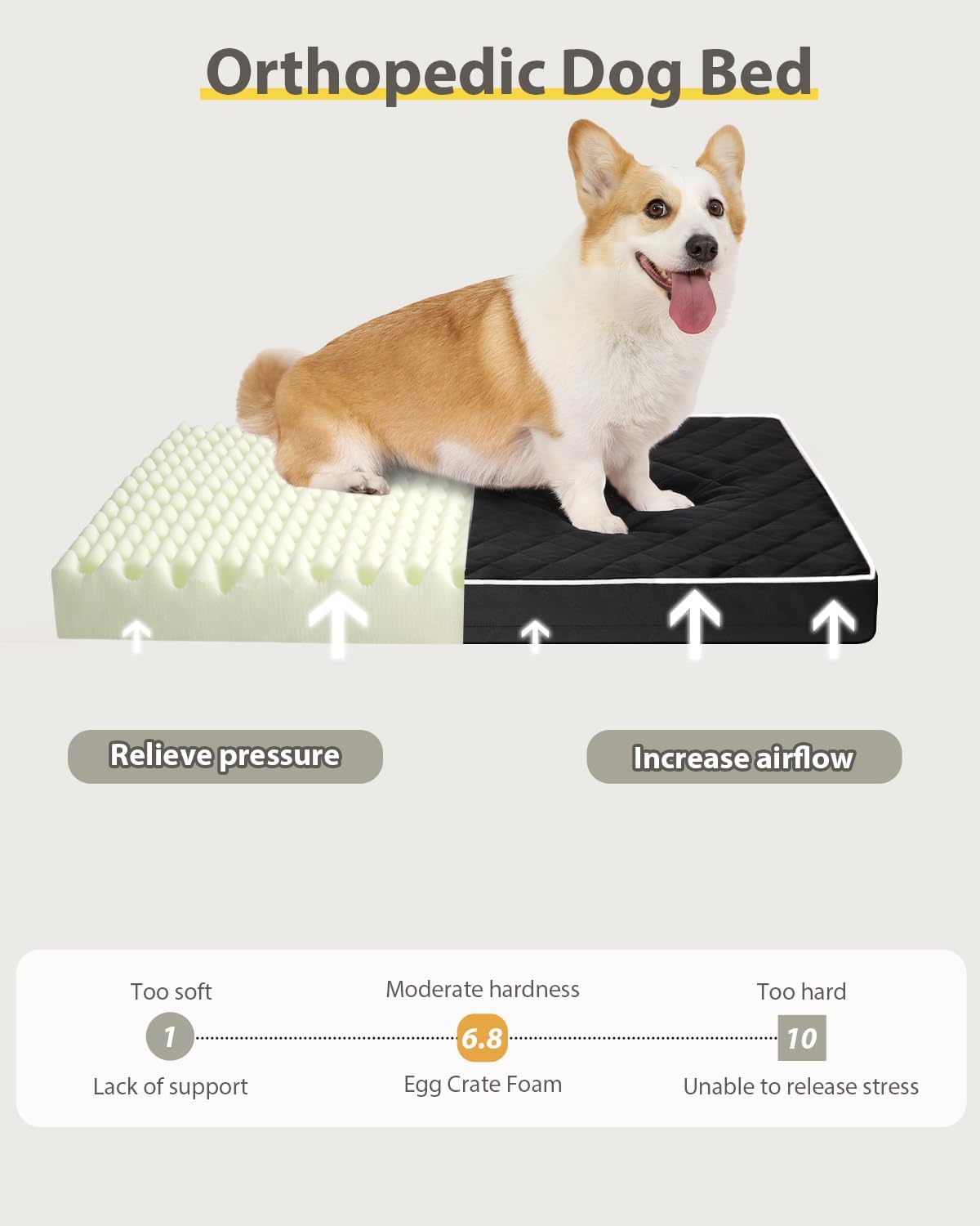 Orthopedic XL Dog Beds Large Sized with Washable Cover, 41x27 - 35.0"L x 22.0"W x 3.0"Th / Black - image 3