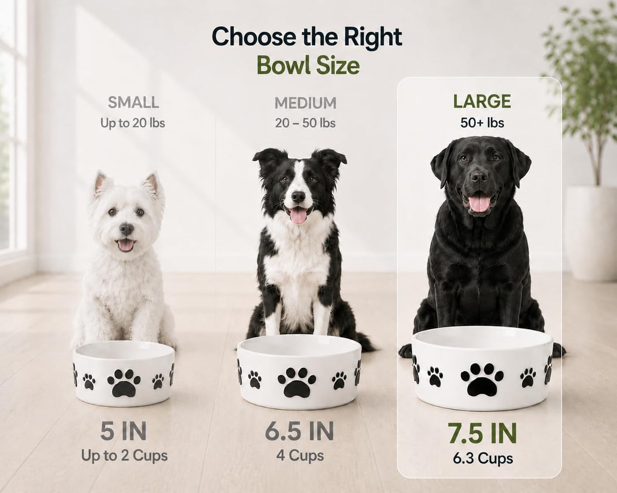 Ceramic Dog Bowls Set, 6.5''×2.5'', with Anti-Slip Rings - 7.5 in - image 2