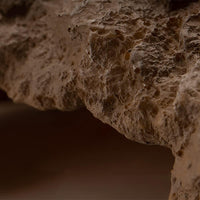 Reptile Hide Bearded Dragon Cave Hideouts Habitat Décor for Snake – Essentials for Reptiles And Amphibians - Medium - image 4