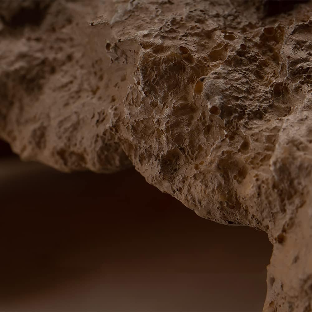 Reptile Hide Bearded Dragon Cave Hideouts Habitat Décor for Snake – Essentials for Reptiles And Amphibians - Medium - image 4