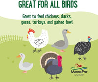 Manna Pro Farmhouse Favorites Critter Combo Crunch Poultry Treat - Protein Poultry Treat - Encourages Natural Foraging Behavior - 100% Natural Blend of Soldier Fly Larvae, Mealworms & Shrimp - 2lb Bag