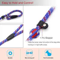 Dog Rope Leash, Dog Training Leash for 10-80 lb - Blue - image 3