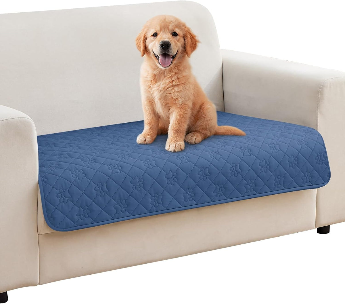 PAWFINITY Waterproof Dog Blanket for Couch - Blue / 30x53 Inch (Pack of 1)