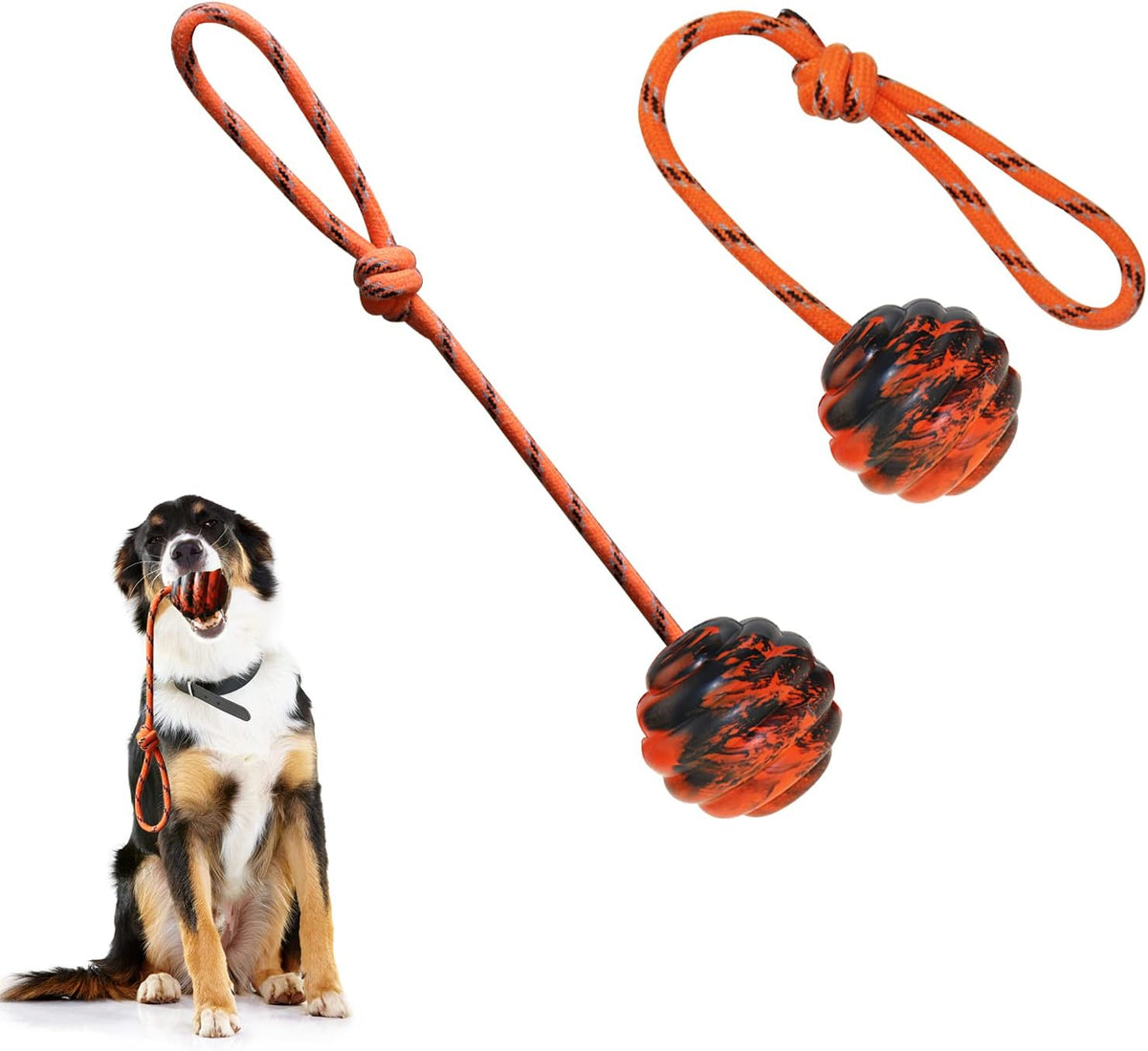 2Pcs Dog Training Ball on Rope, Exercise & Reward Toy for Dogs - 2pcs