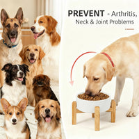 Elevated/Raised Ceramic Dog Bowl with Bamboo Stand，6 Inch 3.6 Cups - White / Medium - image 2