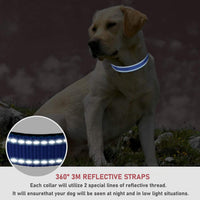 Reflective Dog Collar, Puppy Collar with Buckle Adjustable - Navy Blue / Small :Width 5/8",Neck 10-14" - image 4